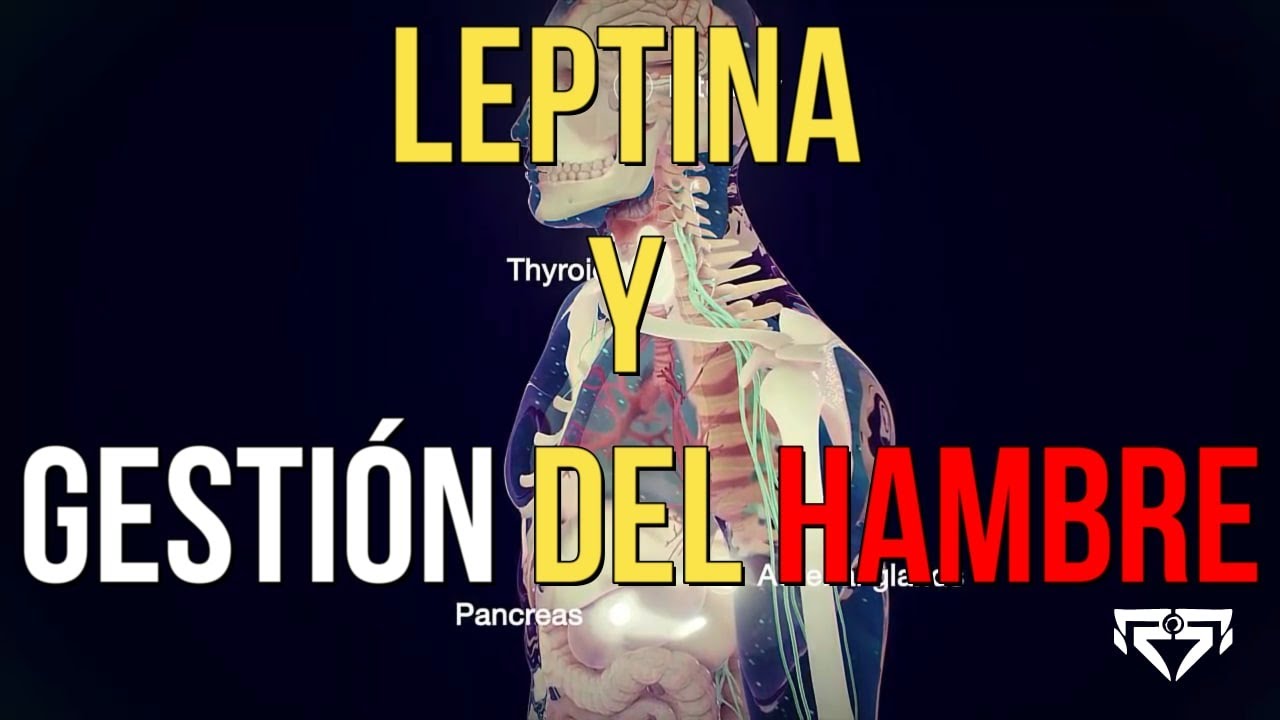 ¿Cómo ACTIVAR la 🧬LEPTINA para 🔥BAJAR de PESO? Aprende a ESTIMULARLA de FORMA NAUTRAL