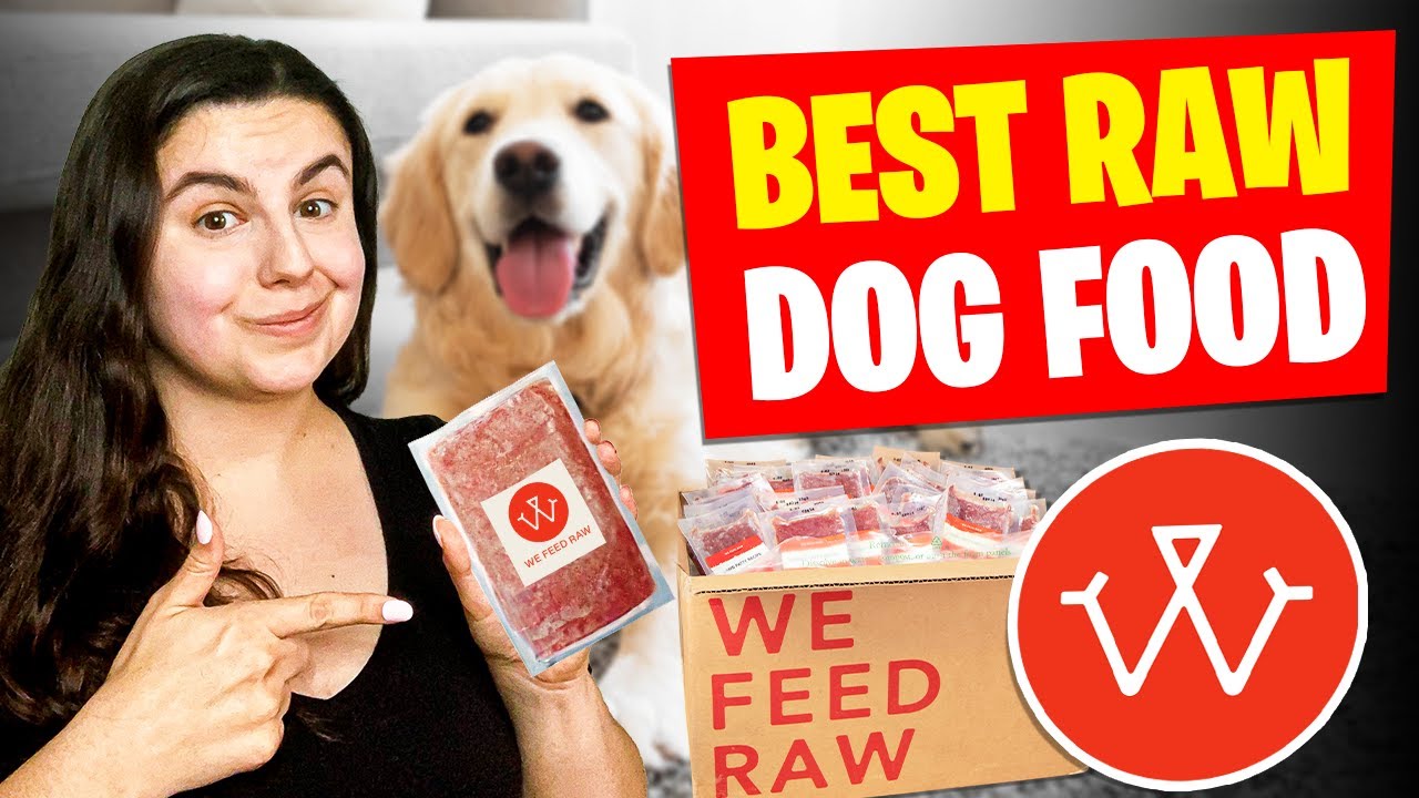 Best Raw Dog Food | Why &lsquo;We Feed Raw&rsquo; Could Be the Healthiest Choice