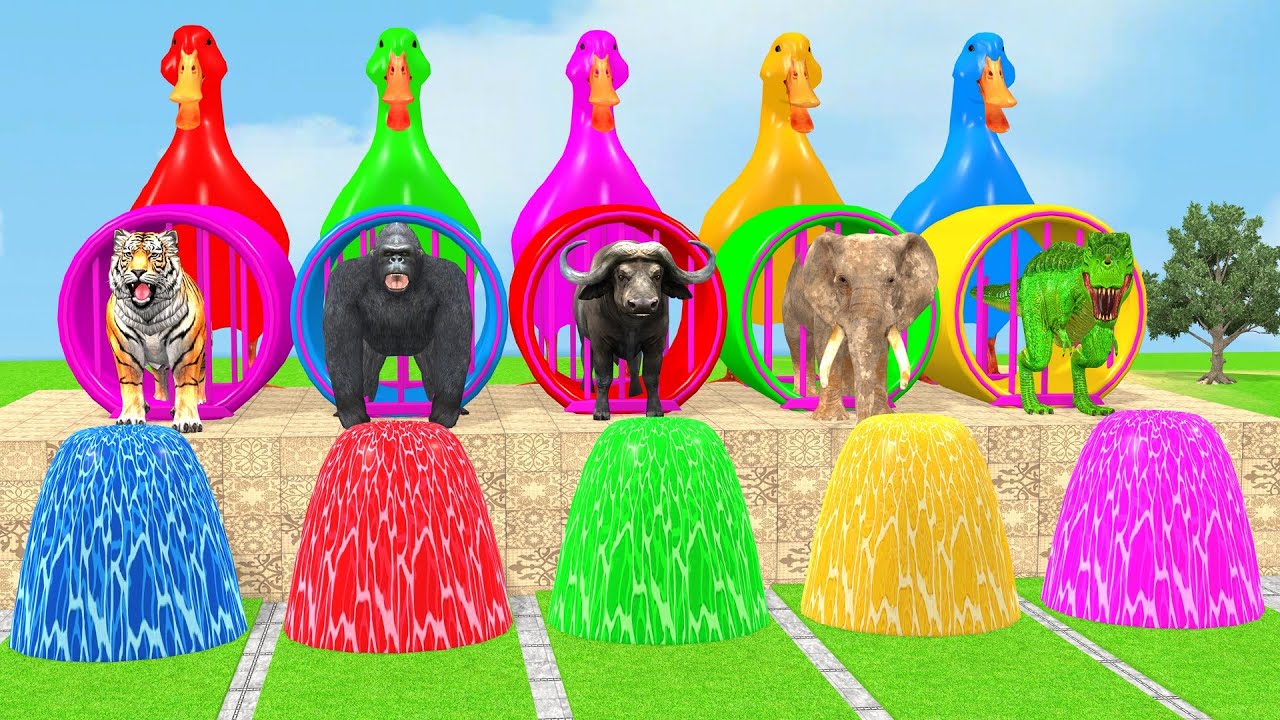 Long Slide Game With Cow Elephant Gorilla Hippopotamus Tiger 3d Animal Game Funny 3d Animals