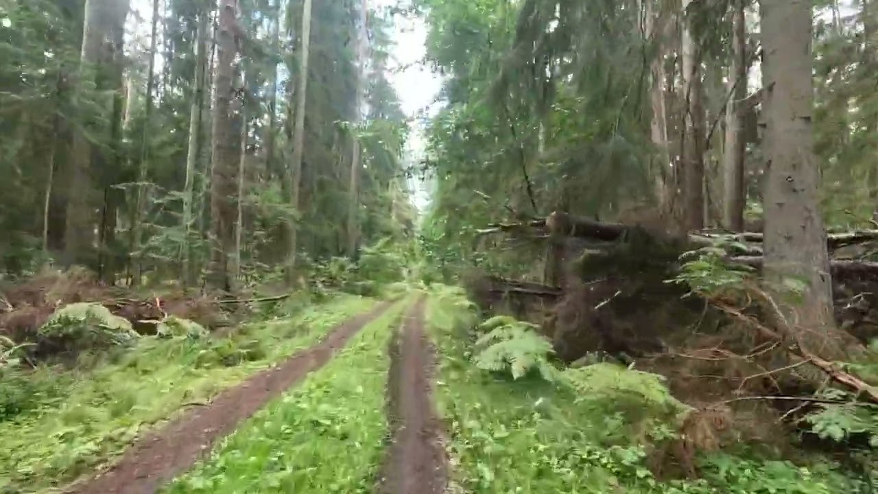 Velo tripiņš 27.08.