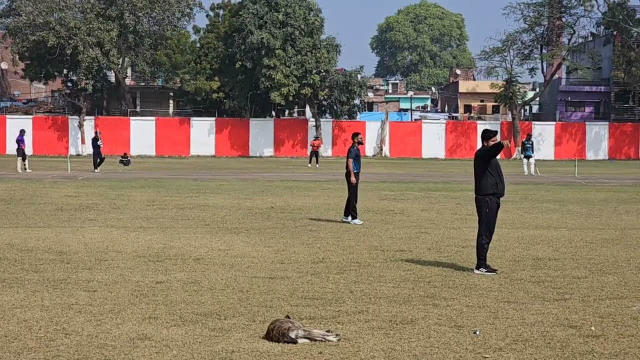 GoCricket_Tales is live