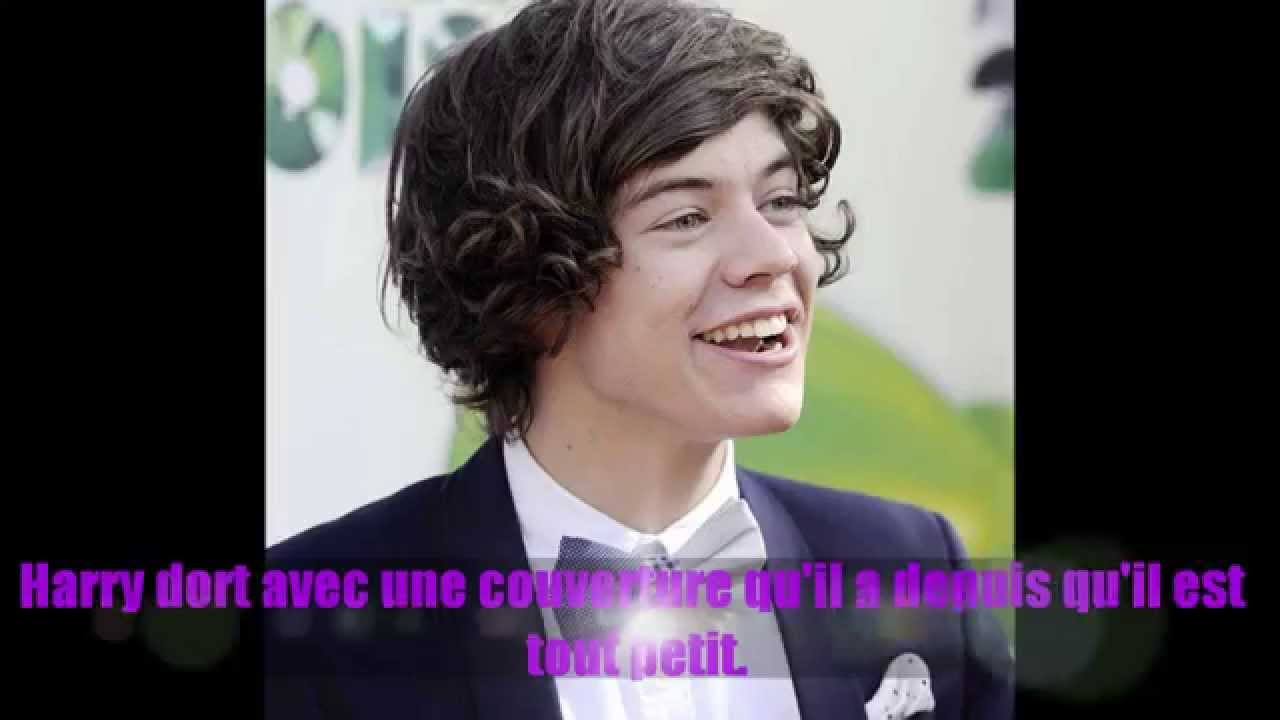 french fact harry styles