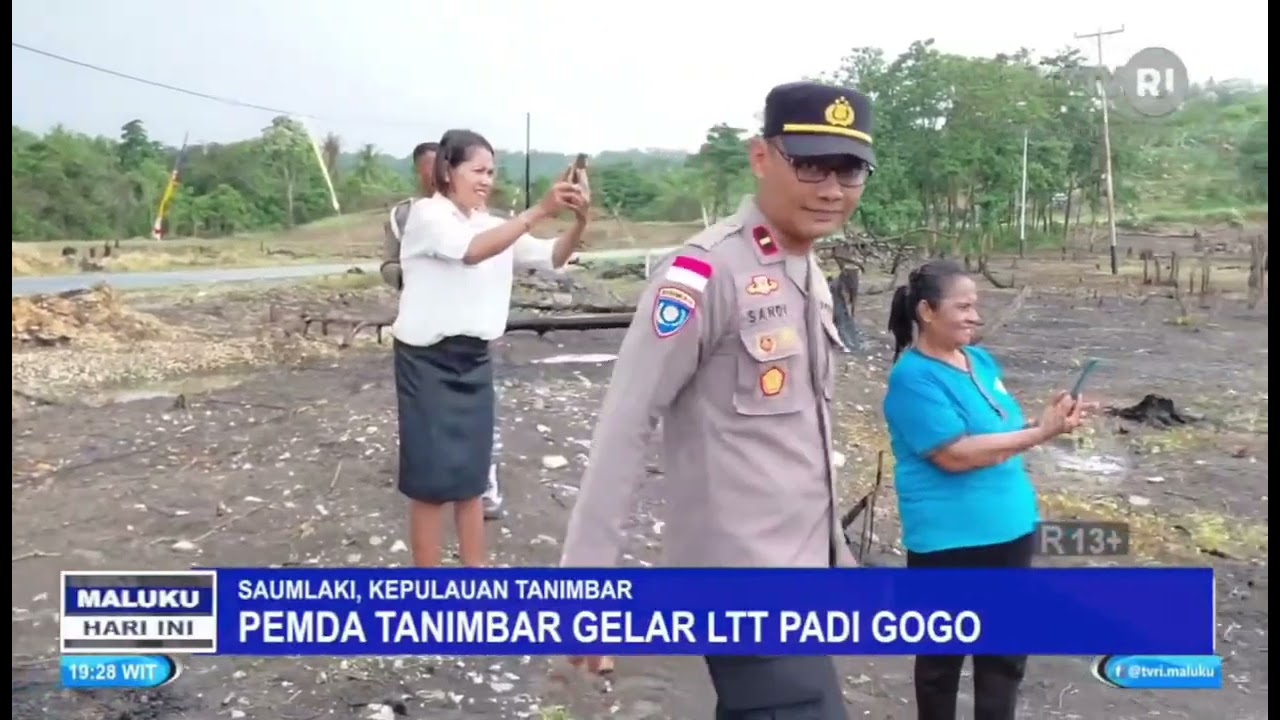 PEMDA TANIMBAR GELAR LTT PADI GOGO DI WERTAMRIAN
