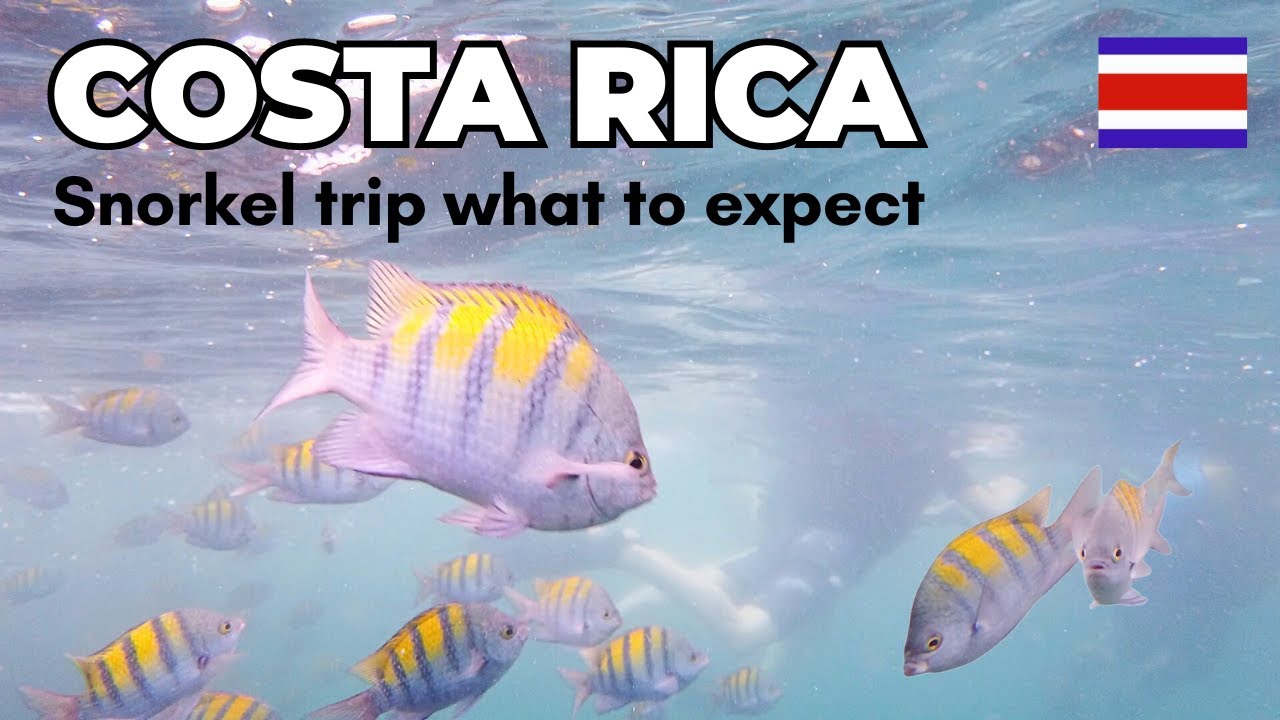 Costa Rica Snorkeling Spots: Isla del Caño (From Uvita)
