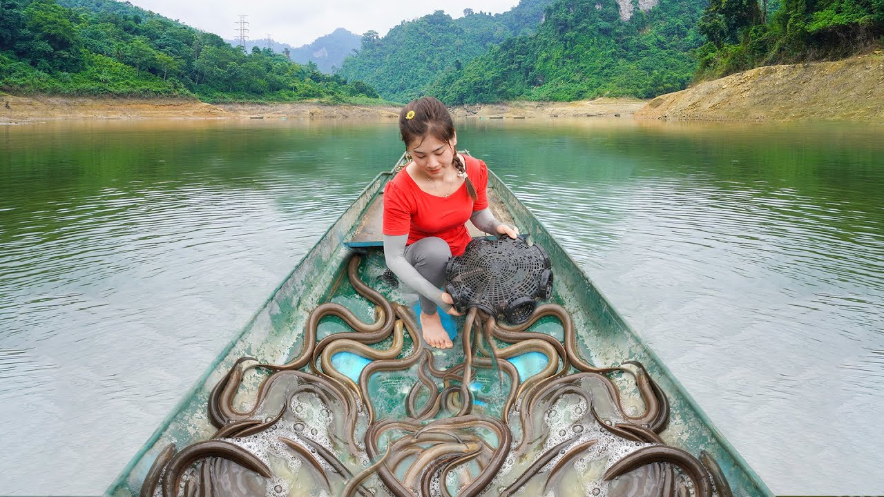 Release Net Traps on Large Lake Catch A Lot Of Eels Go To Market Sell - Grow Morning Glory