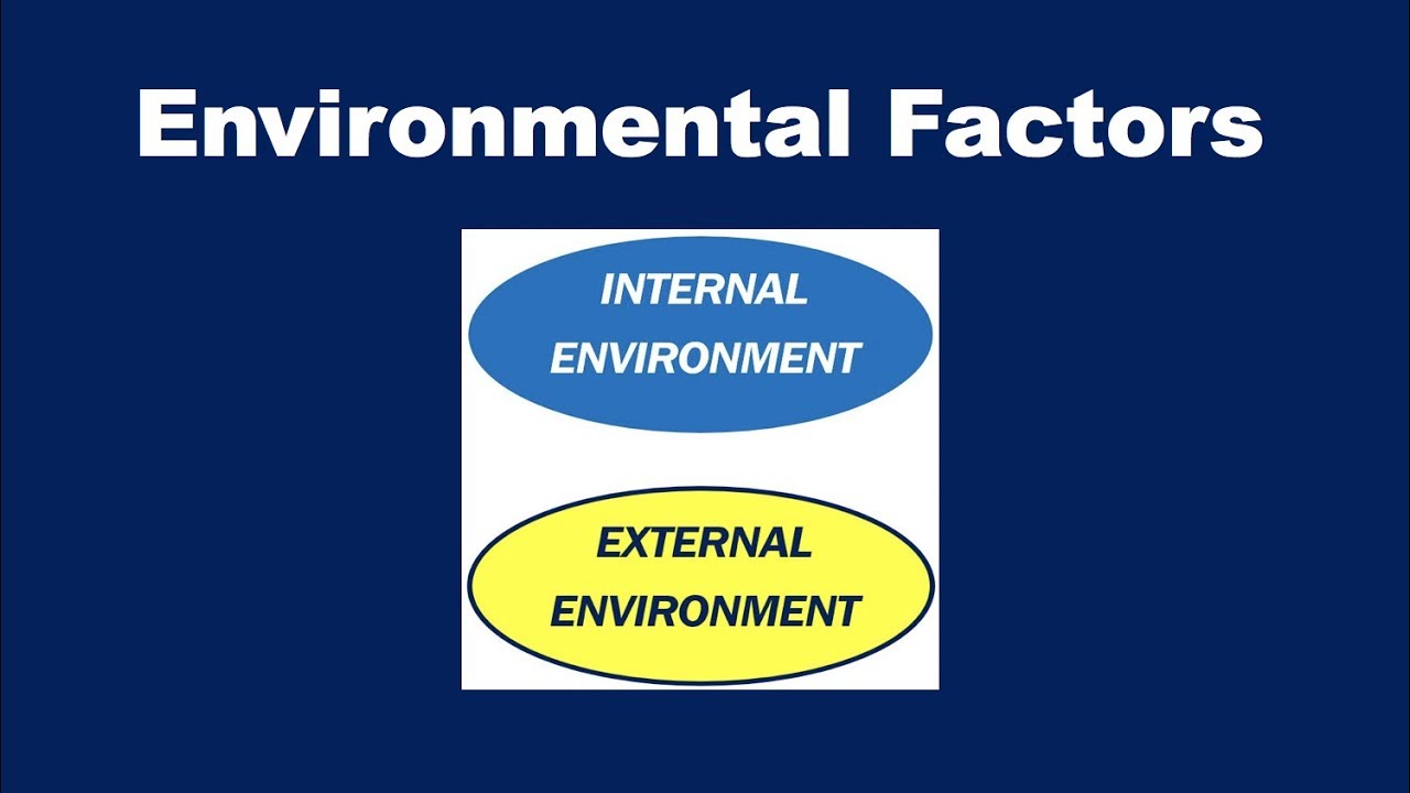 What are Environmental Factors?