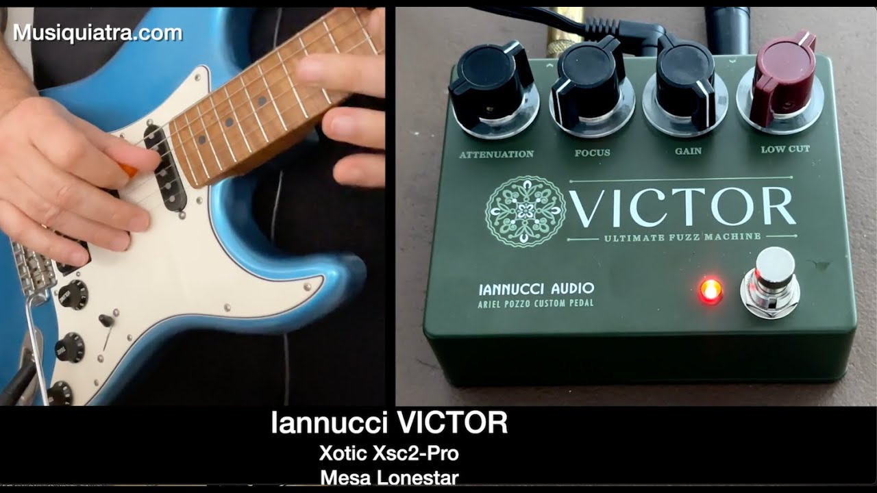 Test: Iannucci VICTOR Ultimate Fuzz Machine