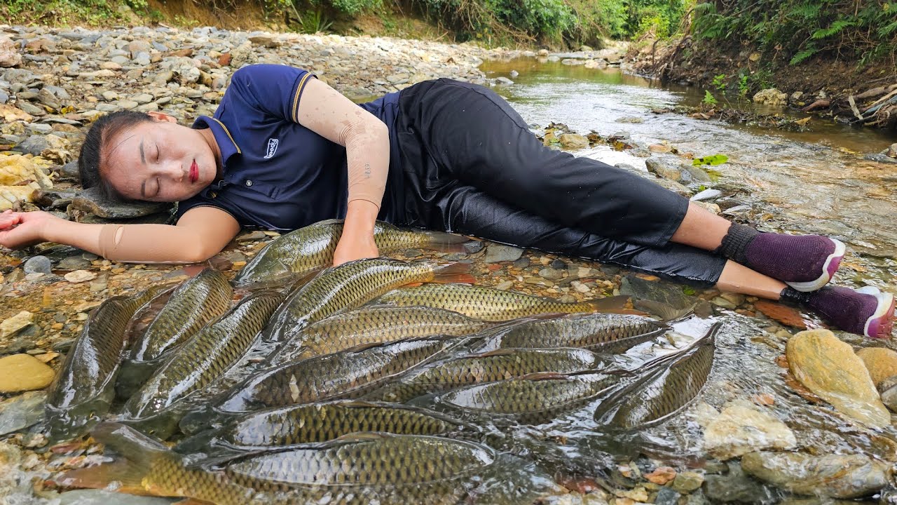 Techniques for trapping, catching river fish taking them to the market to sell, cooking | Ly Thi Tam