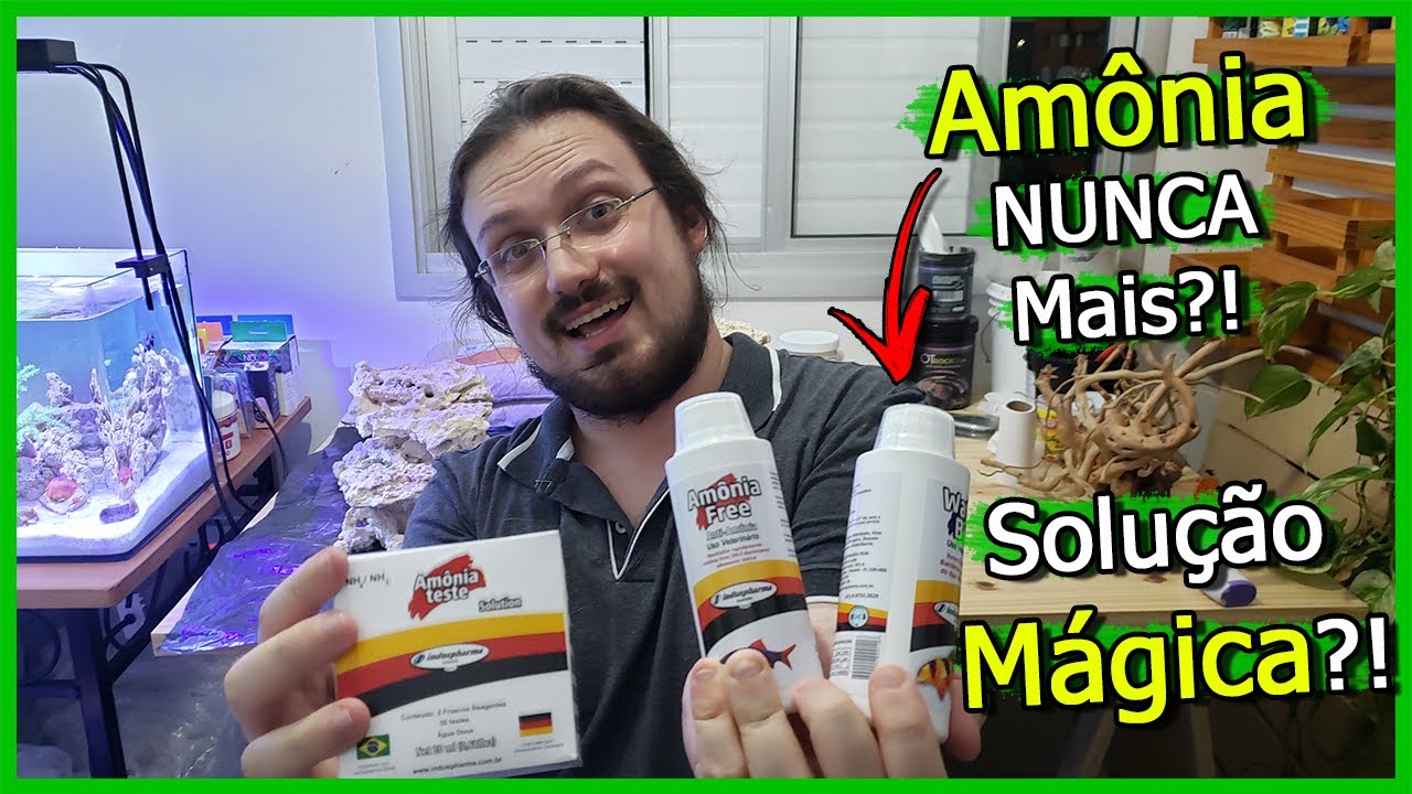 Como NUNCA mais ter AMÔNIA no AQUÁRIO! - Tudo Sobre AMÔNIA - A Química do Aquarismo #4