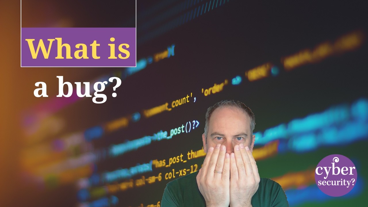 What is a bug?
