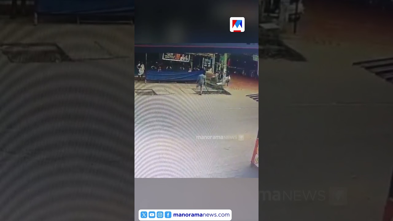 ബസ് കാത്തുനിന്ന കോളജ് വിദ്യാർഥിനിയ്ക്കു നേരെ തെരുവുനായ ആക്രമണം  |Stray Dog