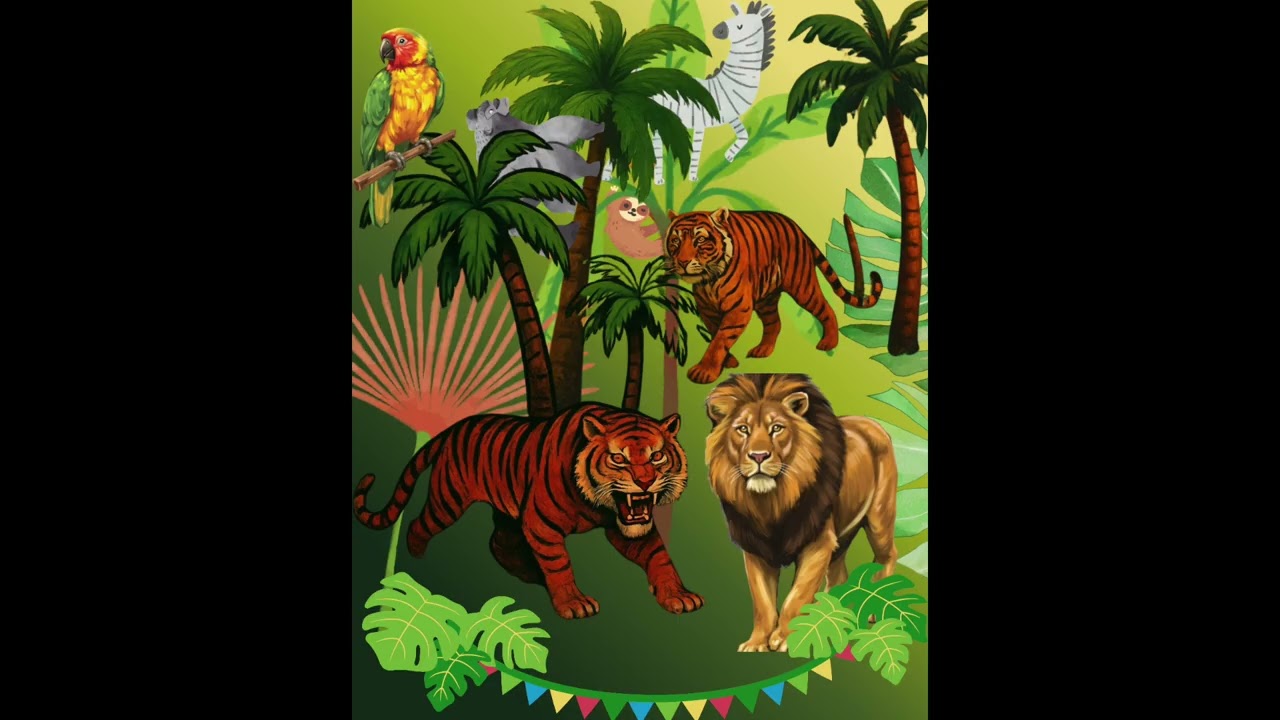 Absolutely wicked jungle DJ set