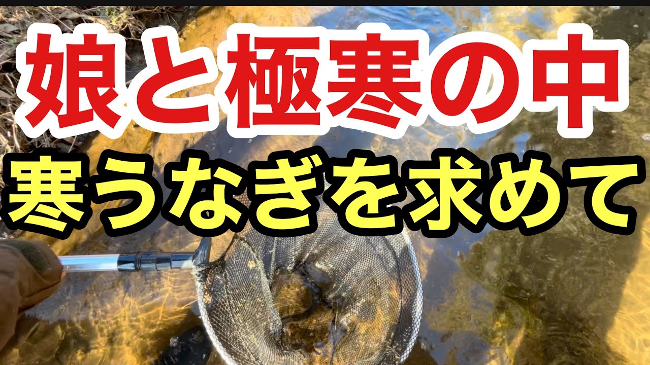 三浦半島　横須賀　天然うなぎ　寒うなぎ