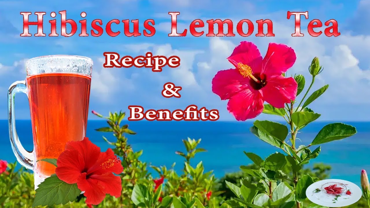 Hibiscus Lemon Tea I Recipe & its benefits II