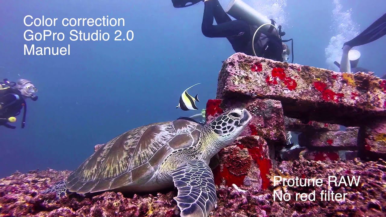Gopro - How to get perfect diving films using pro tune
