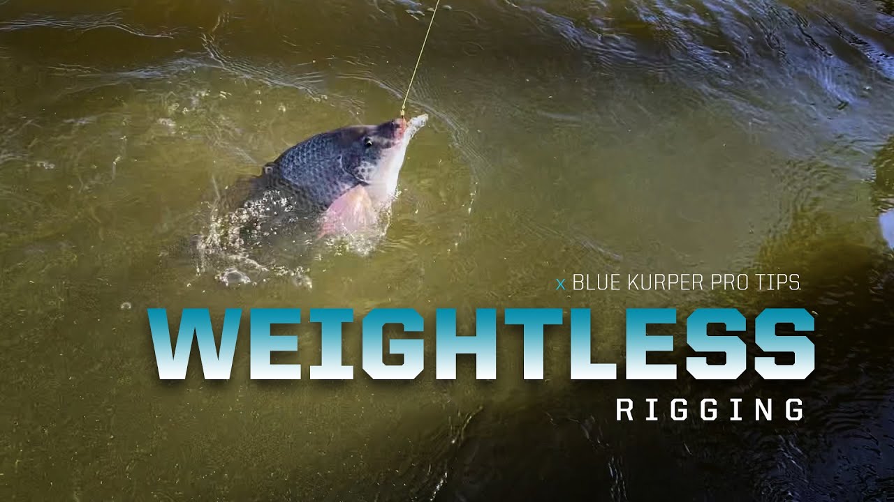 Weightless Rigging with high vis braid for bigger Kurper