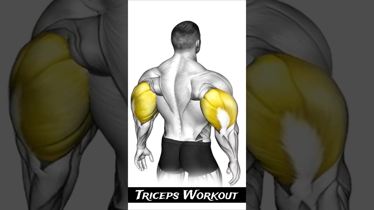 Trening triceps&oacute;w dla potężnych ramion - Triceps Day #triceps #tricepworkout #tricepsday