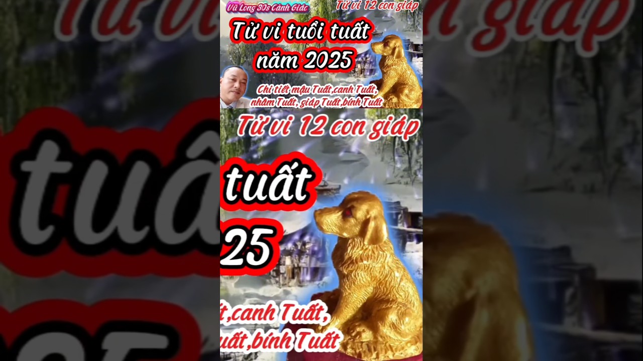 Tử vi tuổi tuất 2025 c&oacute; mậu Tuất,canh Tuất,nh&acirc;m Tuất,gi&aacute;p Tuất,b&iacute;nh Tuất @Vulong30s #vulong30s