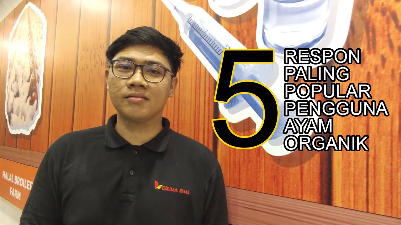 5 Respon Popular Tentang Ayam Organik