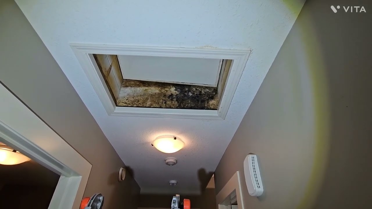 Mold and leaks around the attic access