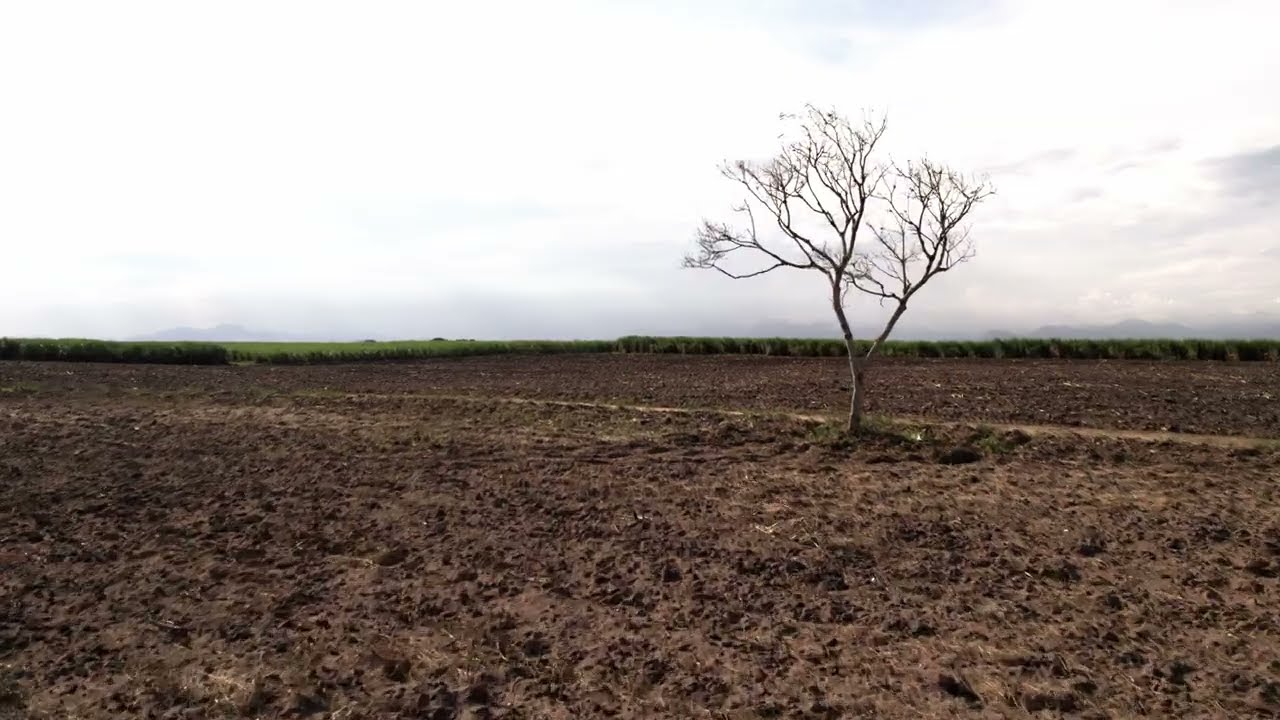 PROPRIEDADES RURAIS