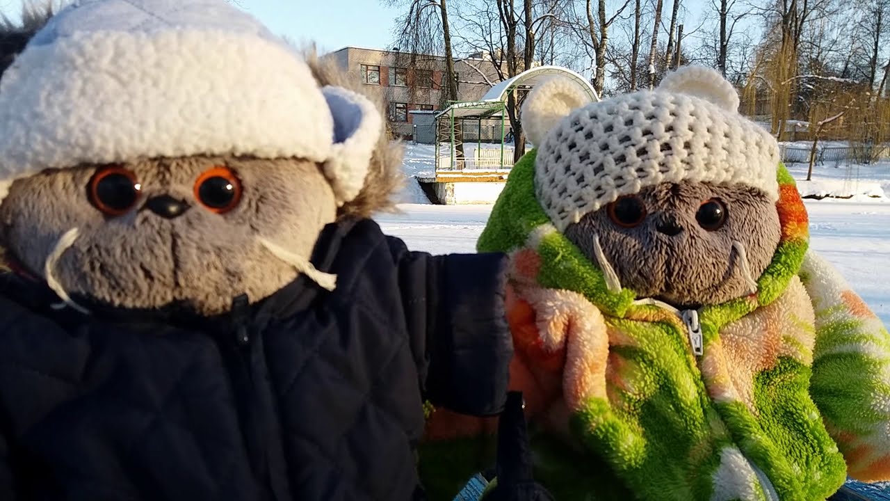 Зимняя прогулка Басика и Бублика