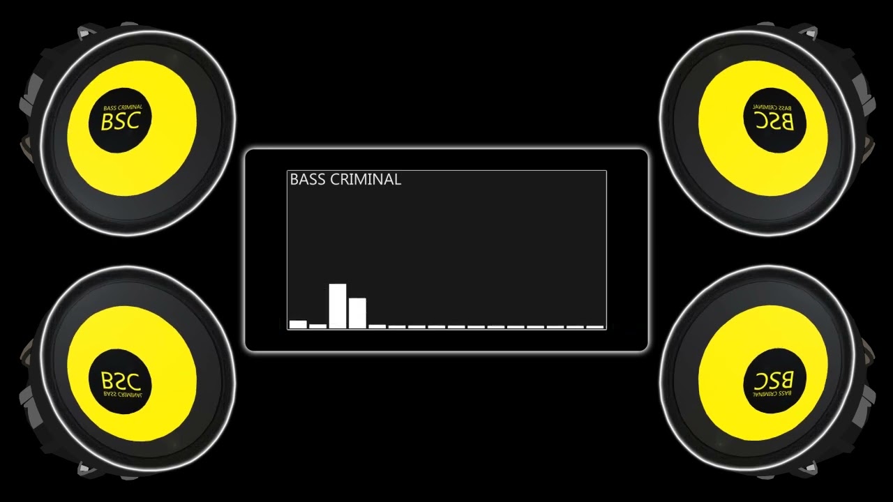BASS TEST SUBWOOFER 9938HZ 9993WATT LOW