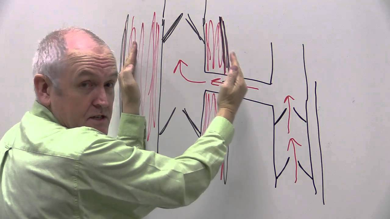 How venous return works