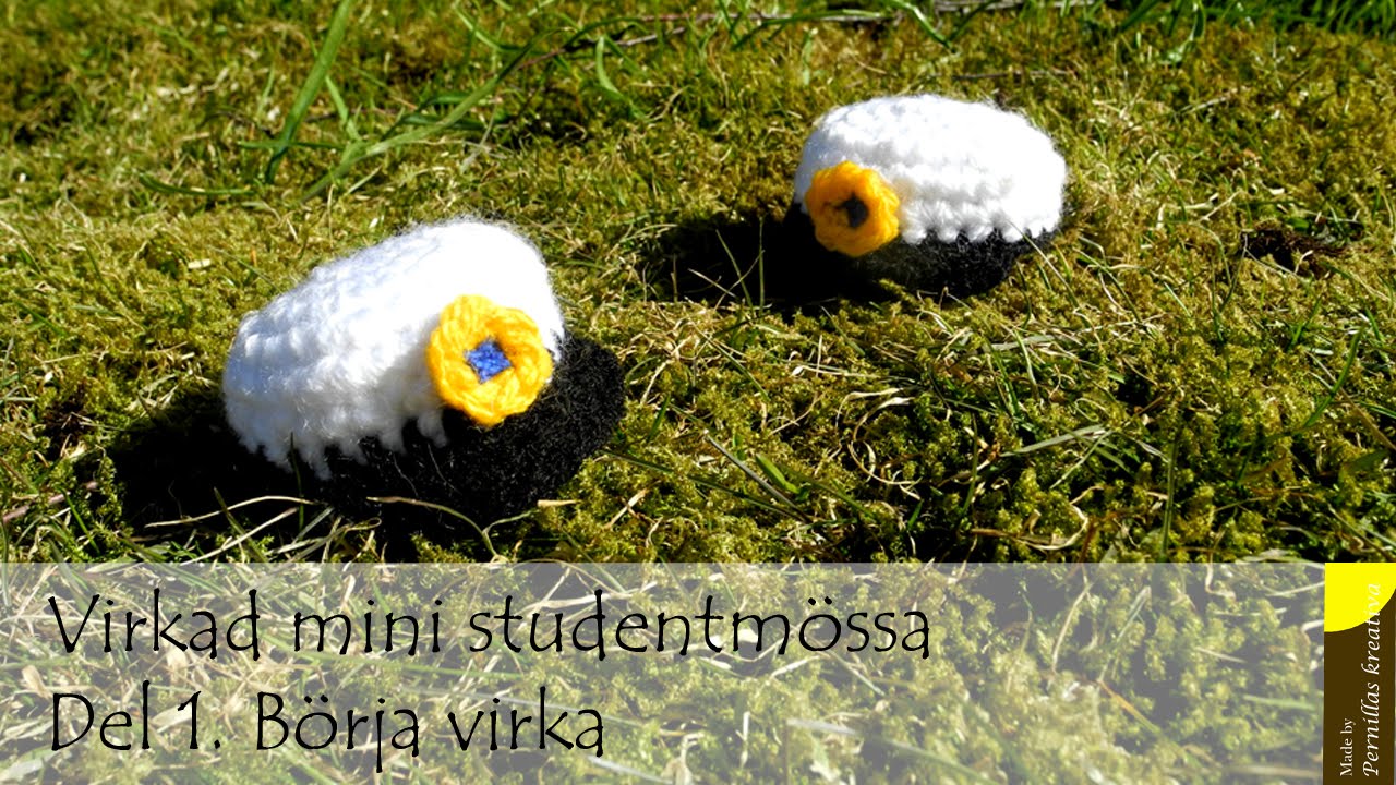 Virkad mini studentm&ouml;ssa. Del 1/4