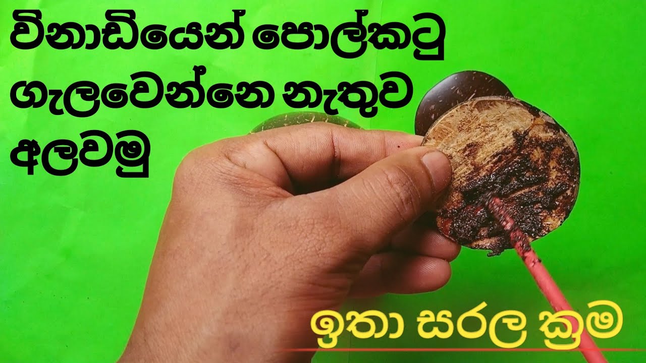 How to Sticking coconut shell / How to attached coconut shell / Polkatu alawana kramaya / polkatu