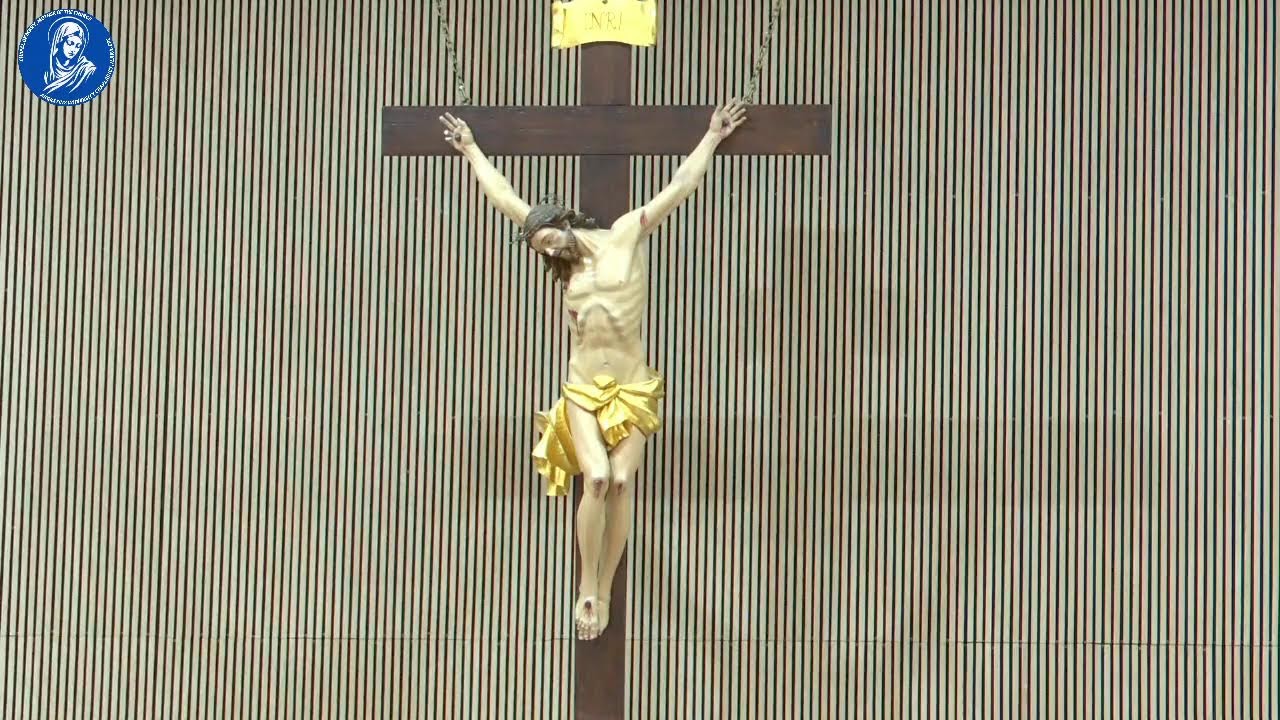 Sunday Mass 15-2-2026