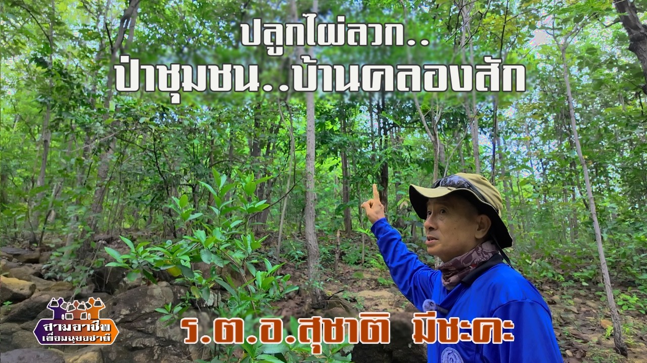 อนุรักษ์ป่า..สร้างอาหาร 