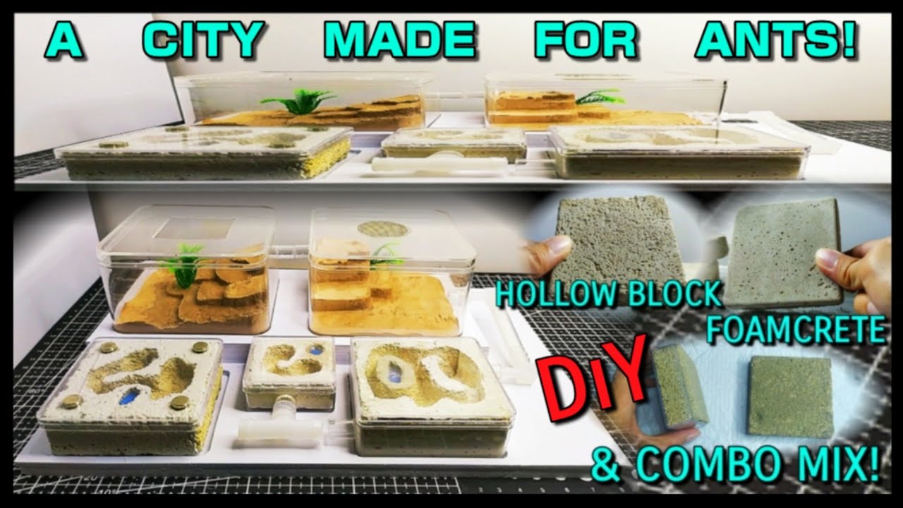 СДЕЛАЙТЕ СВОИ БЕТОННЫЕ БЛОКИ ДЛЯ МУРАВЬИНОЙ ФЕРМЫ | D-colony