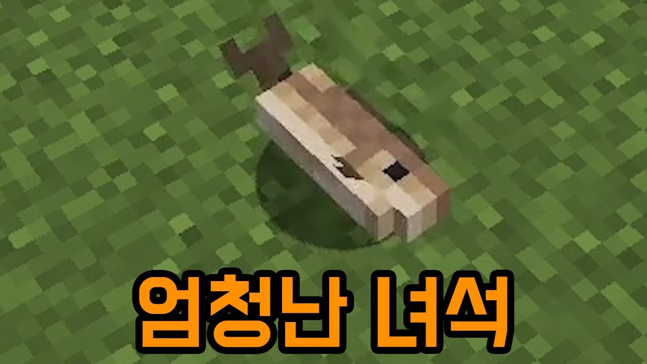 수상한 물고기(마인크래프트)