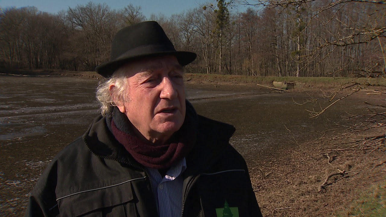 Dans le Jura, un étang de 5 hectares totalement asséché et vidé de ses poissons