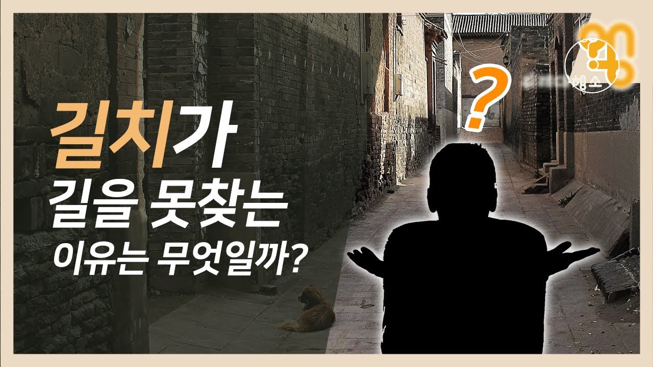 길치 '시각정보' 집착해 길 못찾는다?