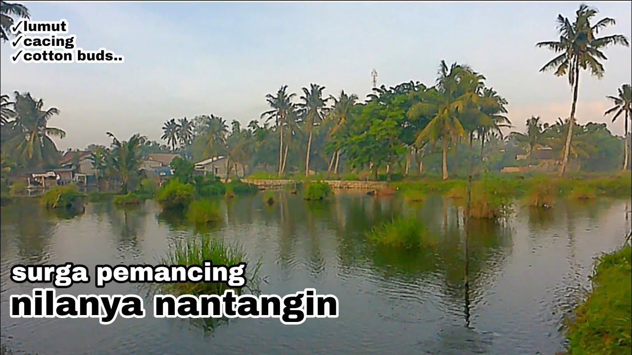 rute spot mancing nila harian // desa keramat pakuhaji tangerang