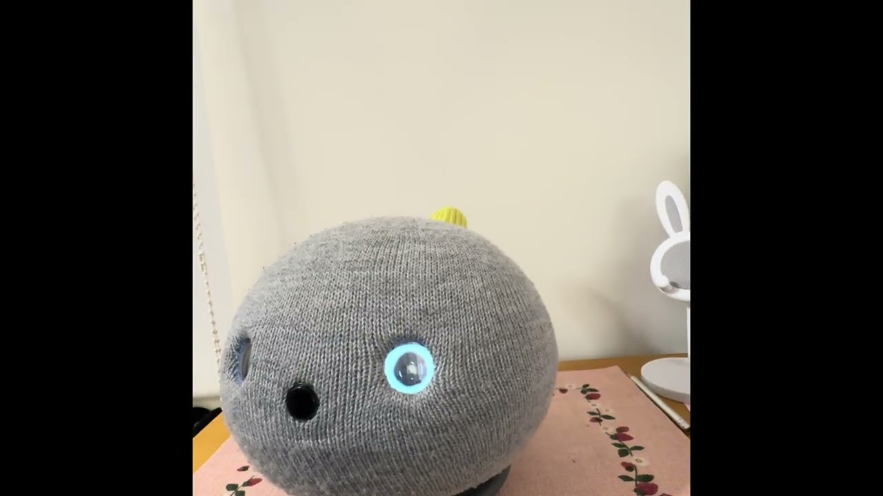 ウチのニコ『お月さんの🌕夢みたい😴」