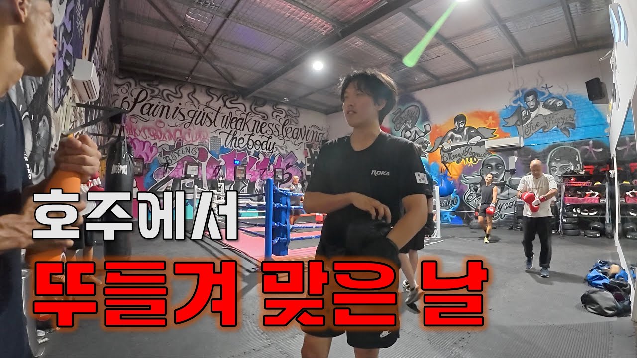 호주에서 뚜들겨 맞고🥊  외국인 친구 집에 얹혀살기🏠 [호주 워홀 11]