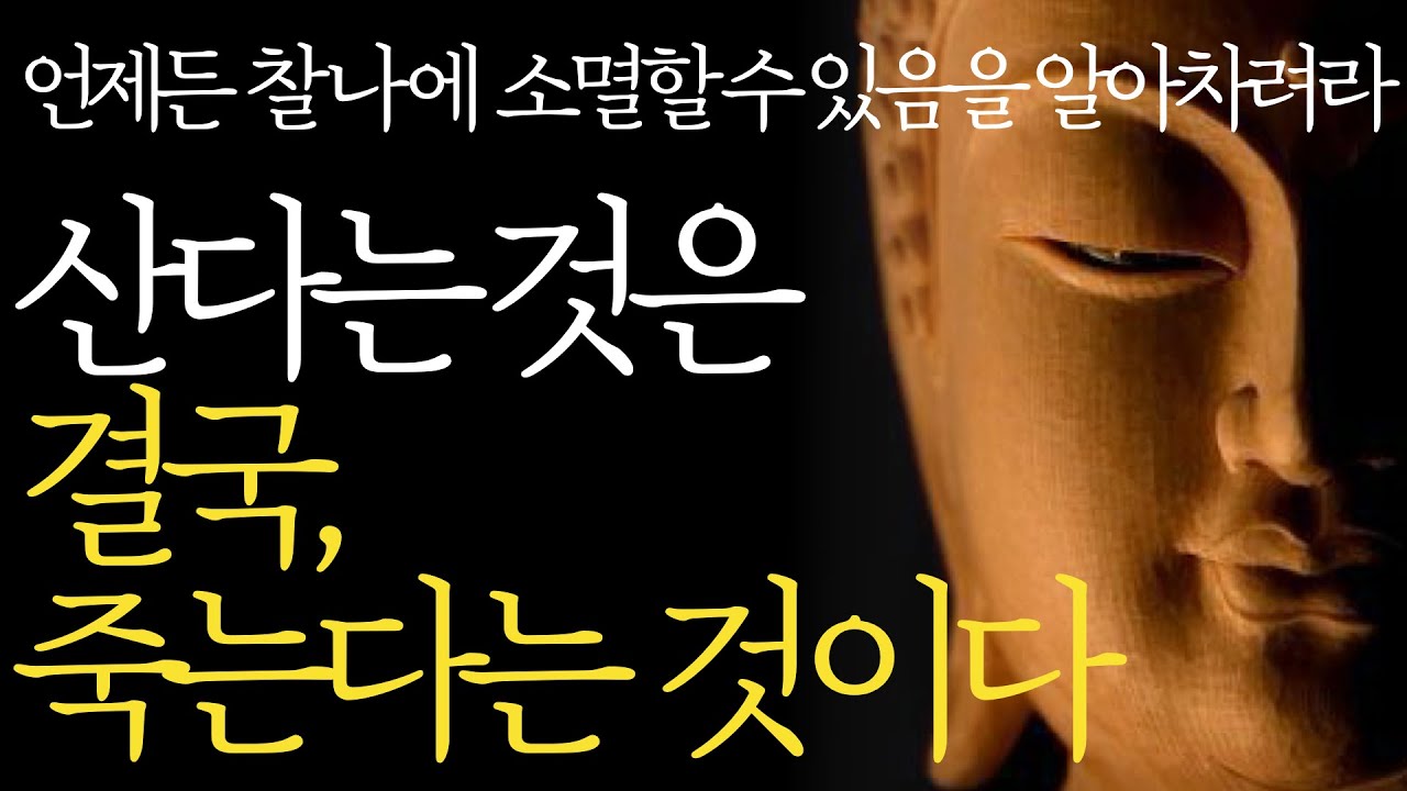 석가모니 명언 | 인생조언ㅣ수많은 죽음을 목격하면서 깨닫게 된 행복의 비밀 l 평온한 삶과 죽음을 받아들이는 방법 | 90세가 가까워지니 죽음의 불안이 찾아왔다 | 부처님말씀 지혜