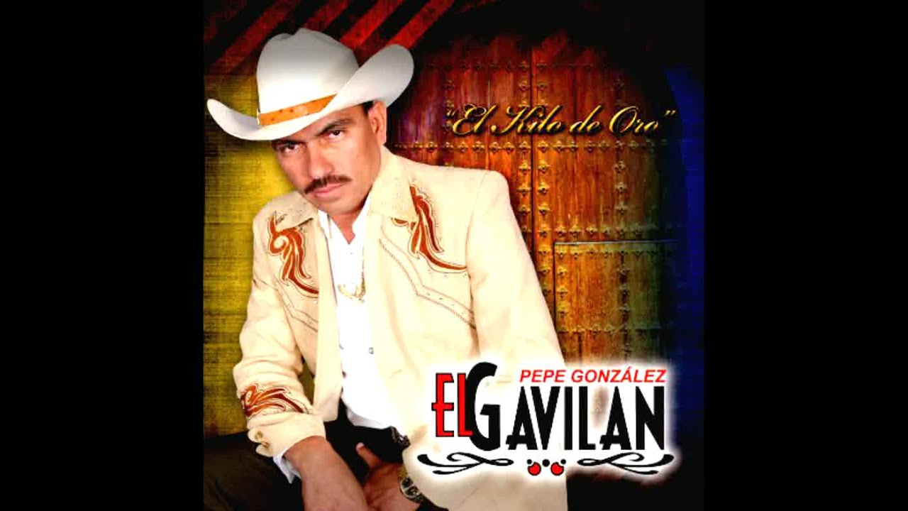 Pepe Gonzalez El Gavilan - Padre Perfecto