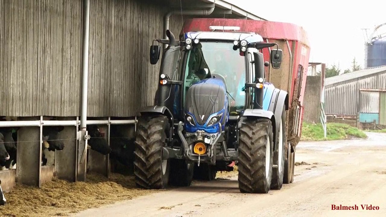 Feeding the Cows with New Valtra T214