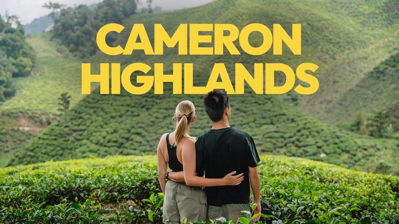Perch&eacute;s dans les Cameron Highlands en Malaisie 🇲🇾 | MAD