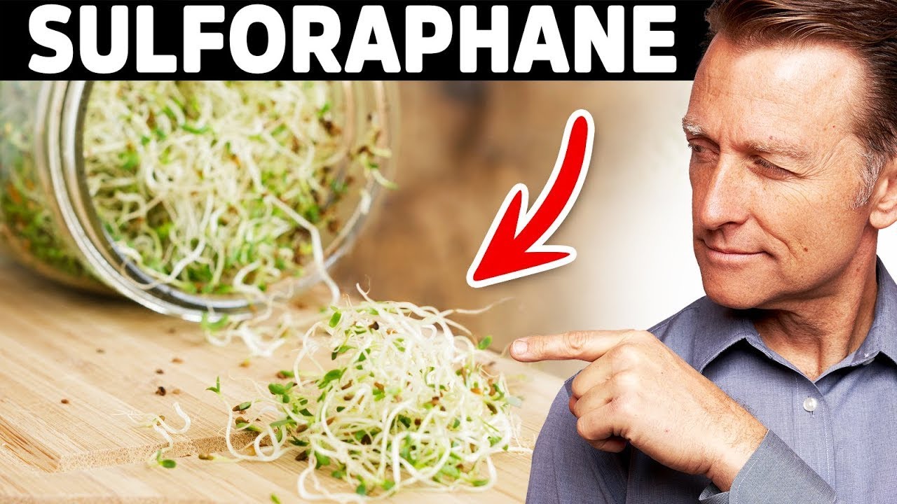 👇🧬 The Anticancer Nutrient Researched Over 2000 Times | Dr. Eric Berg | Health Motivational Speech