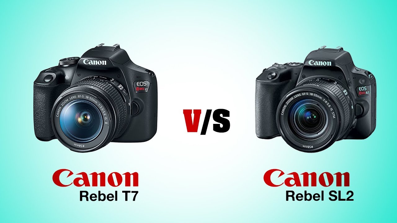 Canon T7 vs Rebel SL2