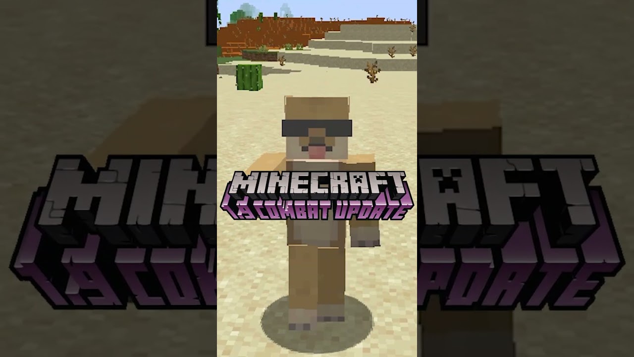 super secret minecraft setting! #shorts