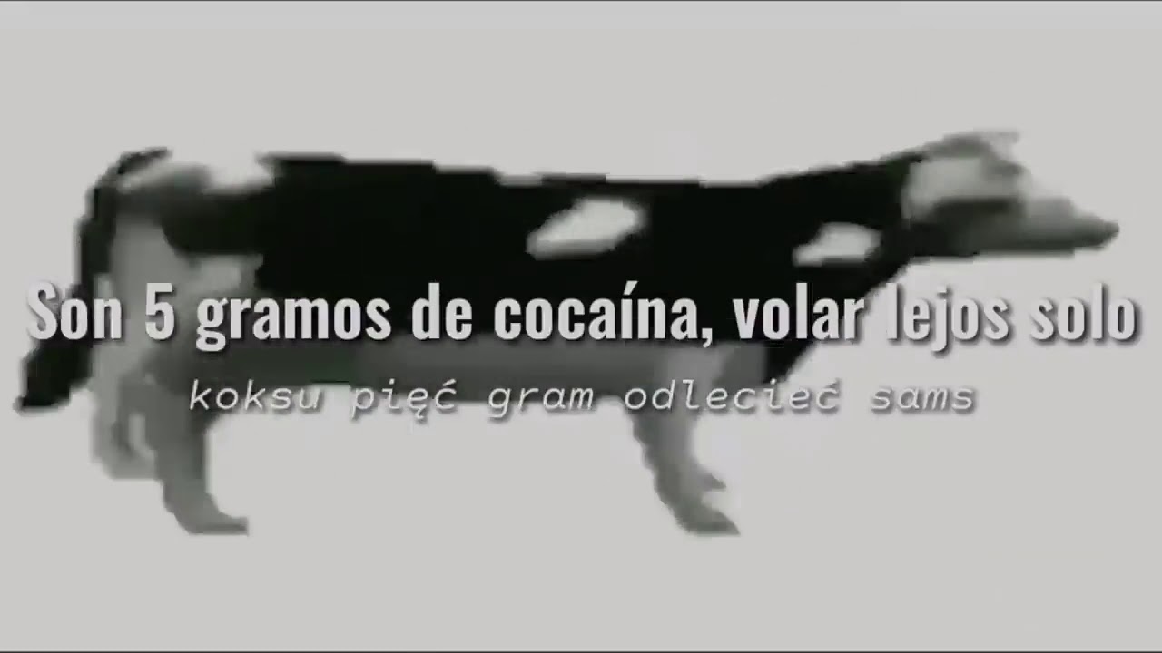 EL GOBIERNO GOBIERNA