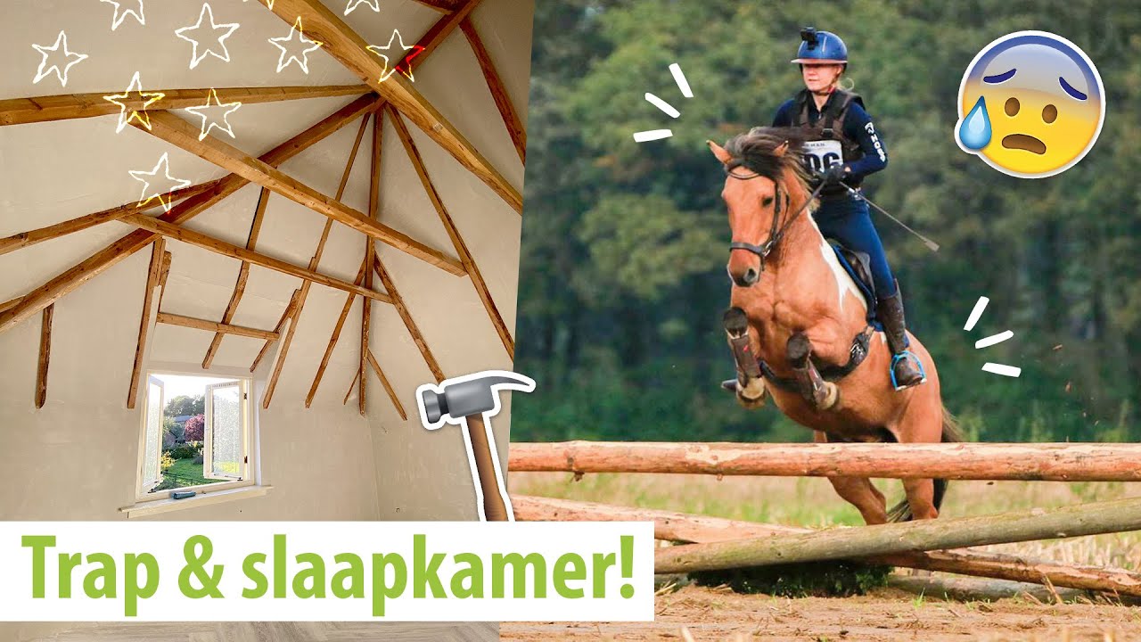 GROTE VERANDERINGEN & LAATSTE CROSS! | felinehoi VLOG 