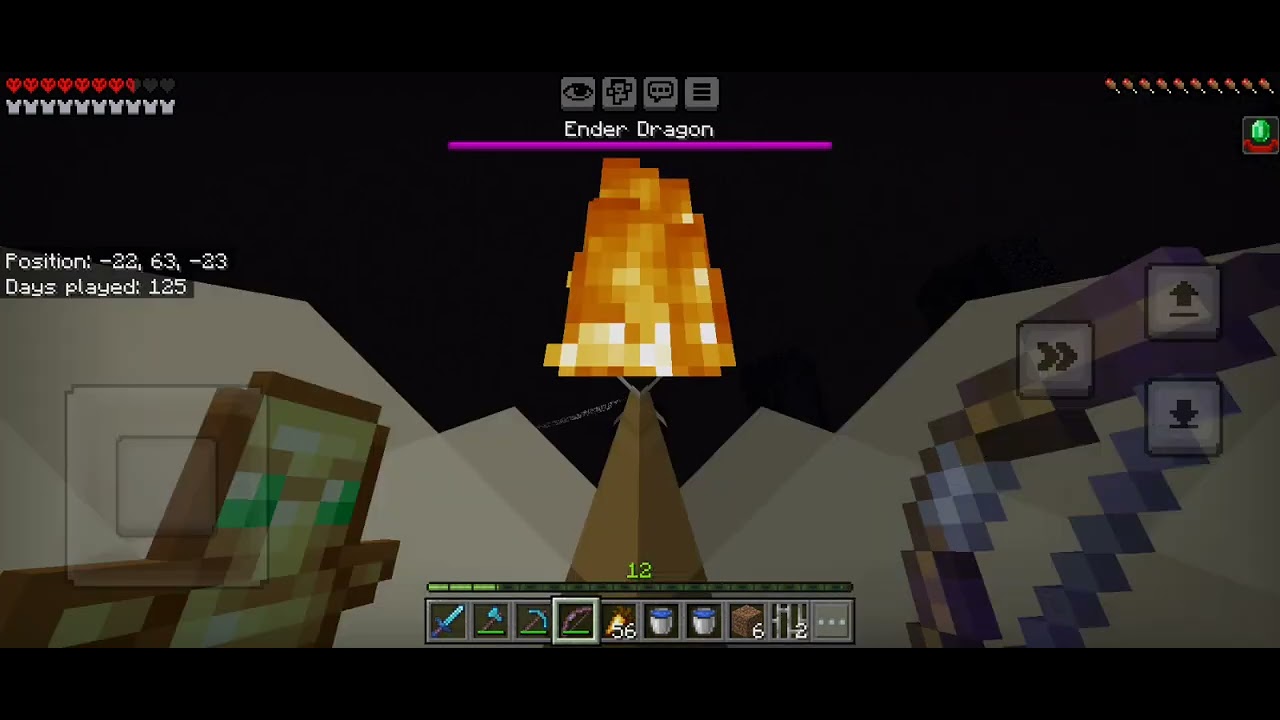 Defeating the ender dragon on hardcore mode
