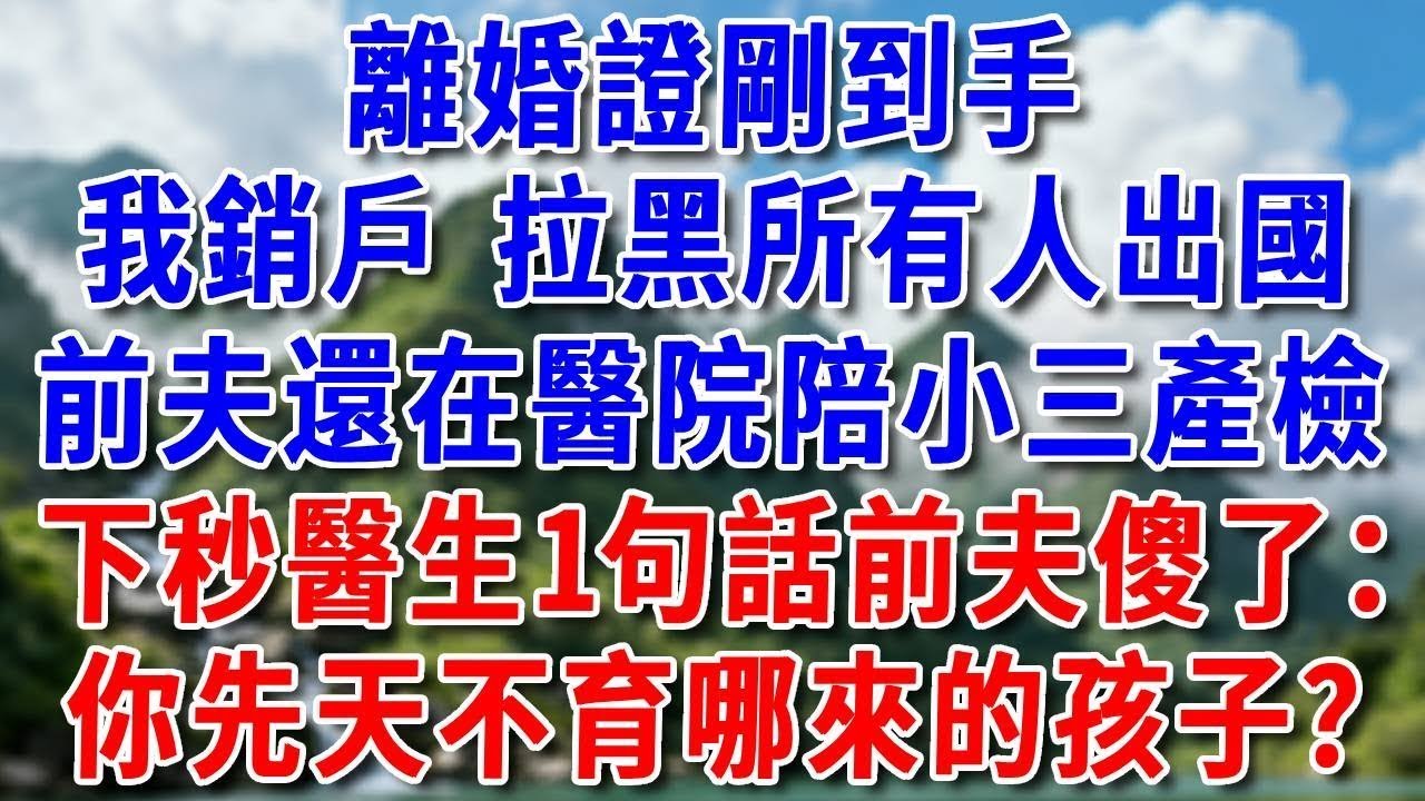 離婚證剛到手，我直接銷戶拉黑所有人出國，前夫還在醫院陪小三產檢，下秒醫生1句話前夫傻了：你先天不育哪來的孩子？#情感 #故事頻道 #故事分享 #人生感悟 #分享 #正能量